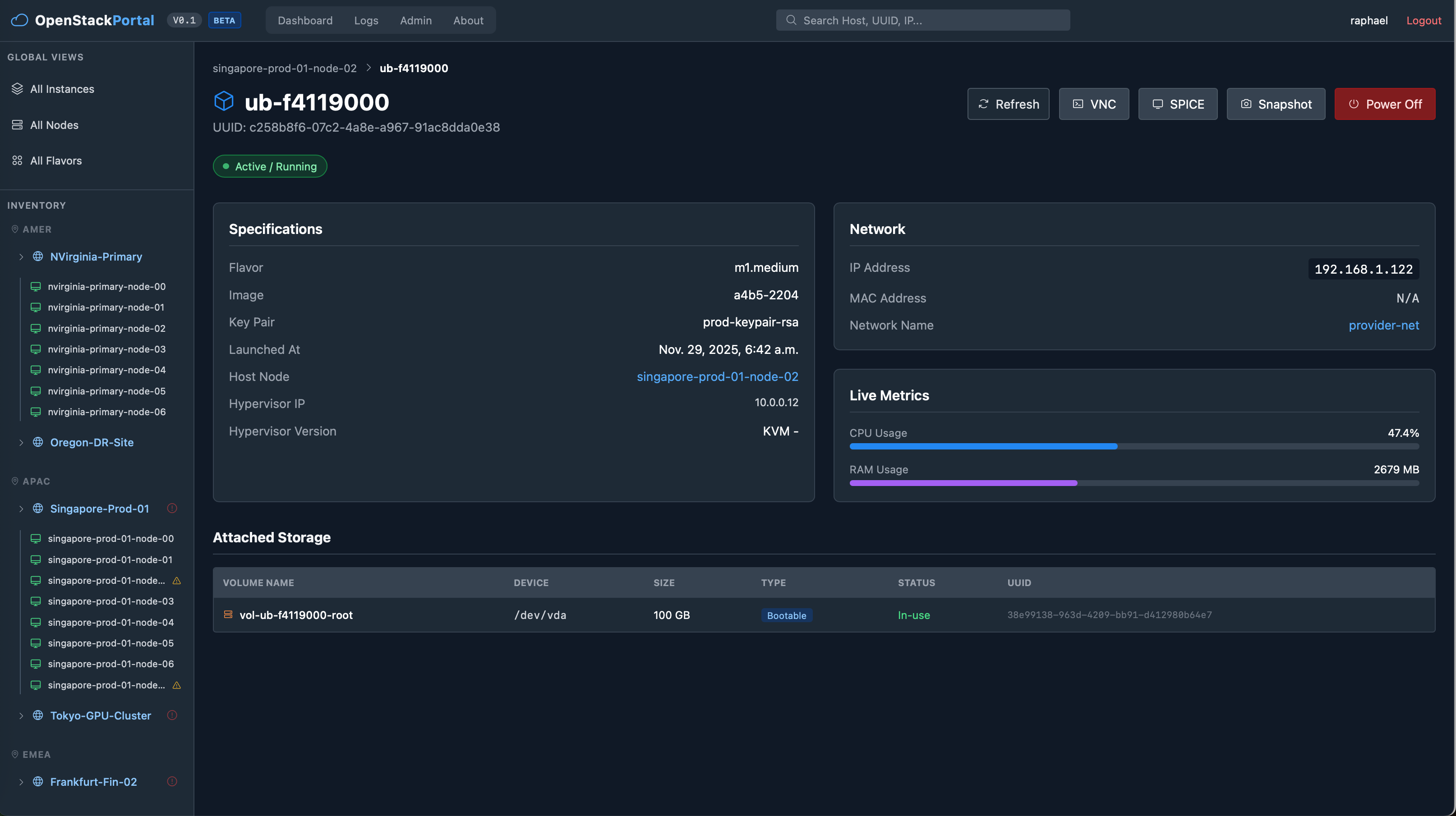 Instance details view
